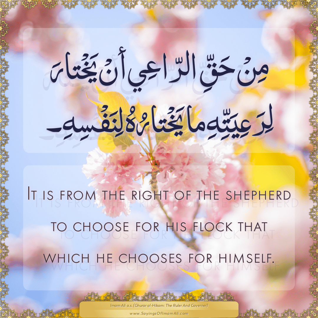 It is from the right of the shepherd to choose for his flock that which he...